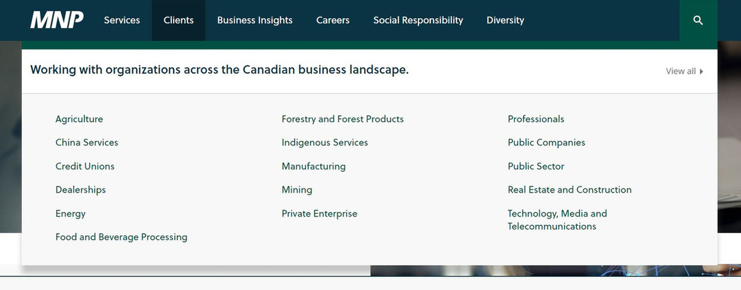 accountinTop Canadian Accounting Web Design: 6 Elements for Successg-website-design-1