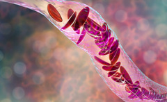 State of Biotech Today: Trends and Challenges 2024 trend-and-challenge-biotech-1
