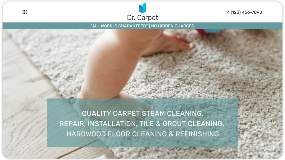 carpet-cleaners-website-homepage-design-nilead (2)