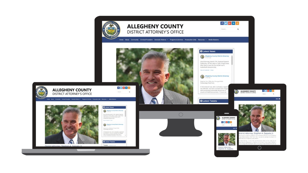government-entities-website-2