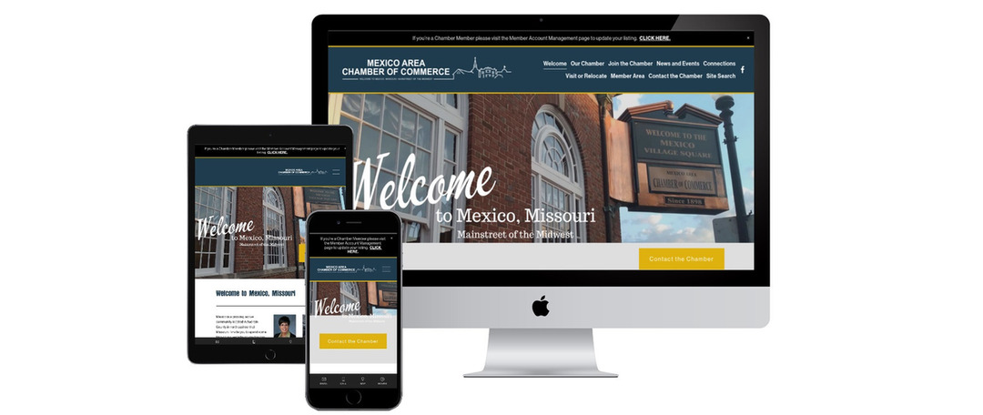 government-entities-website-4