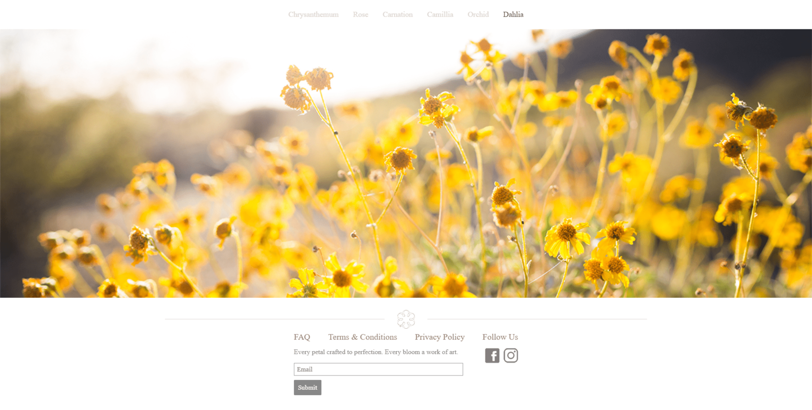 nestbloom-footer