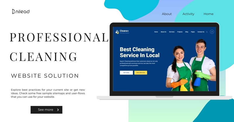 Professional Cleaning