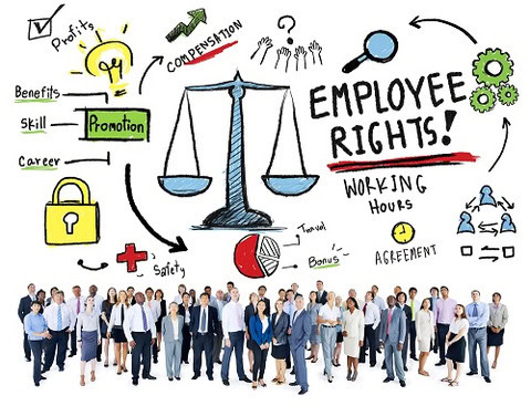 seo-for-canadian-employment-law-a-complete-guide-banner 2
