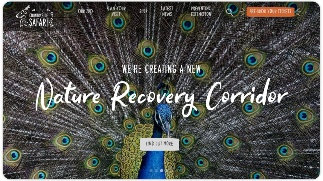 zoo-website-homepage-design-nilead (3)